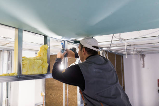 Best Professional Insulation Contractor  in Cowan, TN